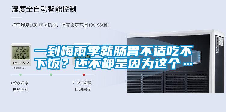 一到梅雨季就肠胃不适吃不下饭？还不都是因为这个…