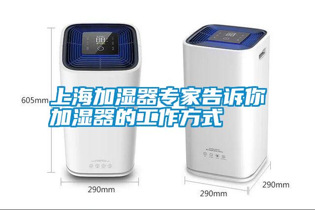 上海加湿器专家告诉你加湿器的工作方式