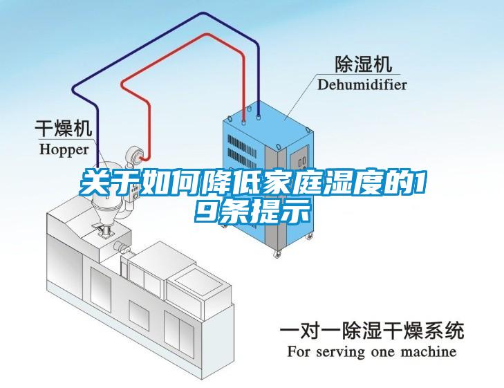 关于如何降低家庭湿度的19条提示