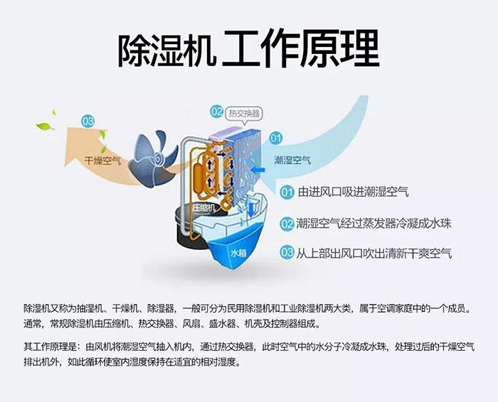 环球360游戏工业除湿机：让药品仓库远离潮湿的困扰