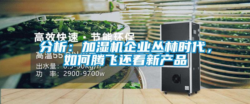 分析：加湿机企业丛林时代，如何腾飞还看新产品