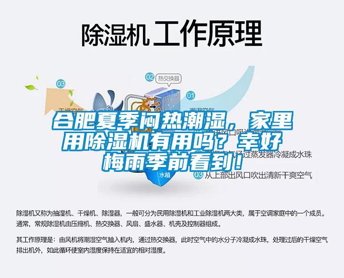 合肥夏季闷热潮湿，家里用除湿机有用吗？幸好梅雨季前看到！