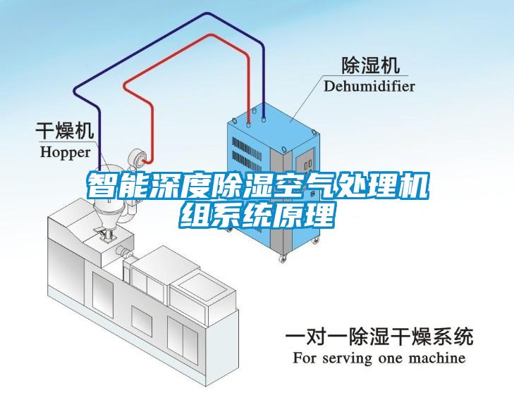 智能深度除湿空气处理机组系统原理