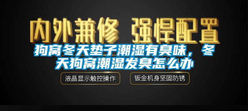 狗窝冬天垫子潮湿有臭味，冬天狗窝潮湿发臭怎么办