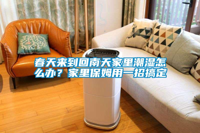 春天来到回南天家里潮湿怎么办？家里保姆用一招搞定