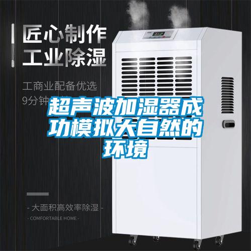 超声波加湿器成功模拟大自然的环境