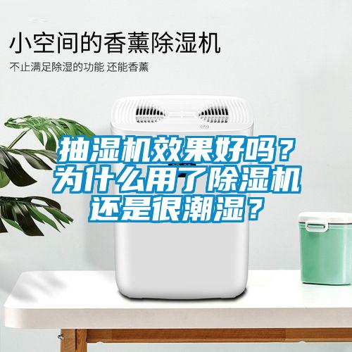 抽湿机效果好吗？为什么用了除湿机还是很潮湿？