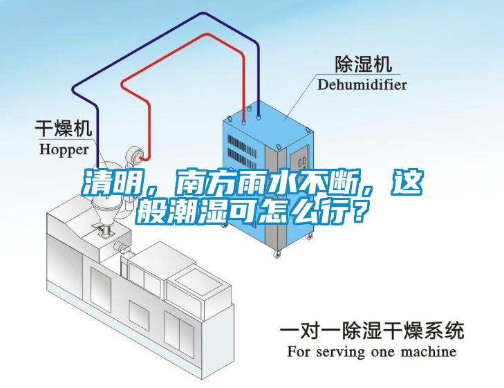 清明，南方雨水不断，这般潮湿可怎么行？