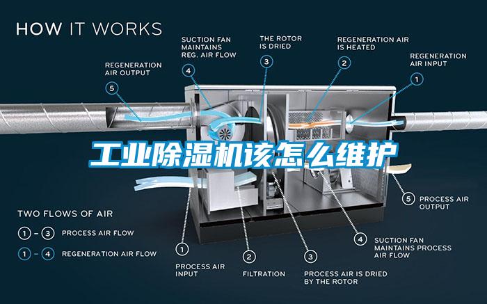 工业除湿机该怎么维护