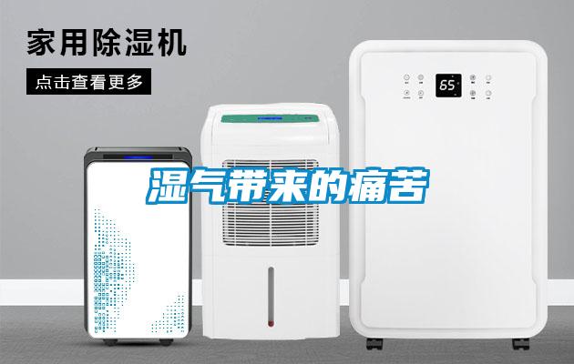 湿气带来的痛苦