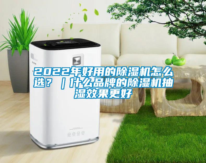 2022年好用的除湿机怎么选？｜什么品牌的除湿机抽湿效果更好