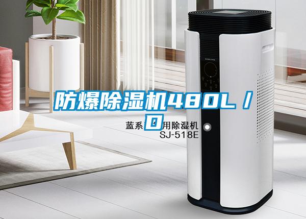 防爆除湿机480L／D