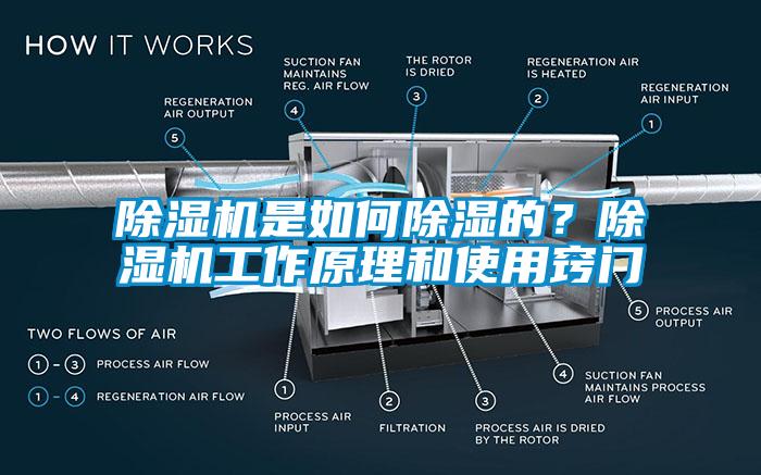 除湿机是如何除湿的？除湿机工作原理和使用窍门