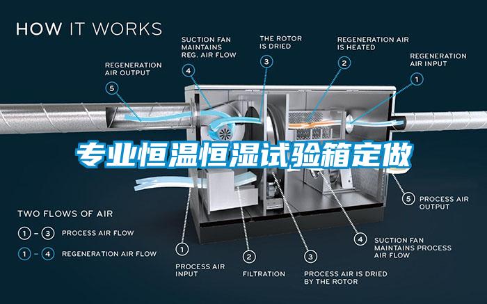 专业恒温恒湿试验箱定做