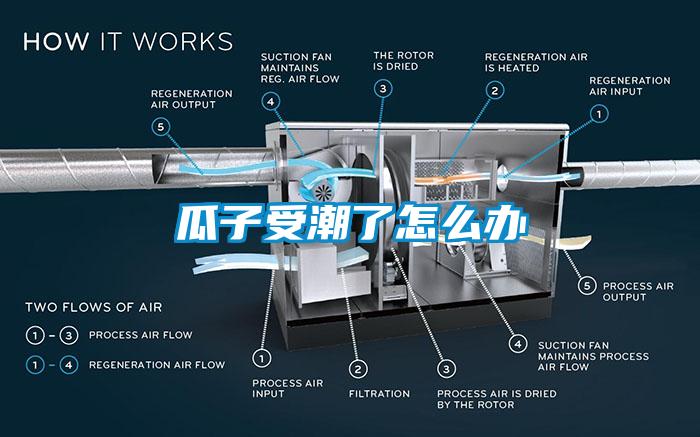 瓜子受潮了怎么办