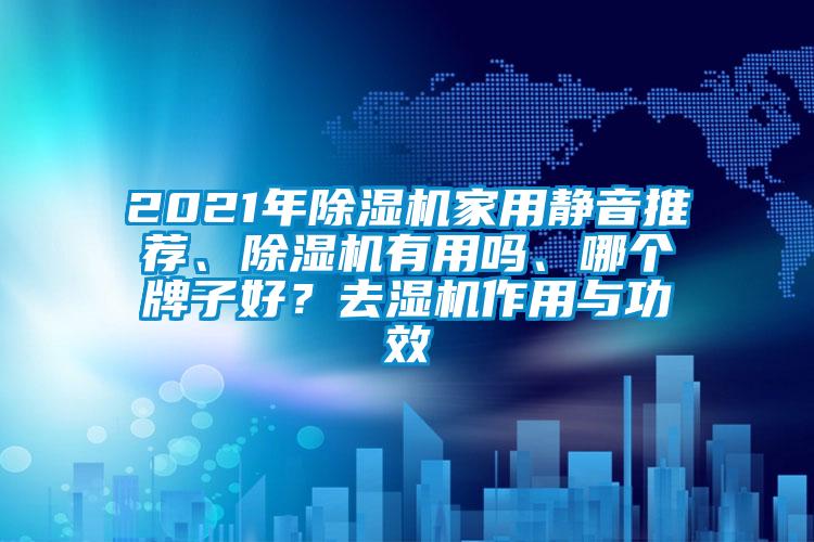 2021年除湿机家用静音推荐、除湿机有用吗、哪个牌子好？去湿机作用与功效