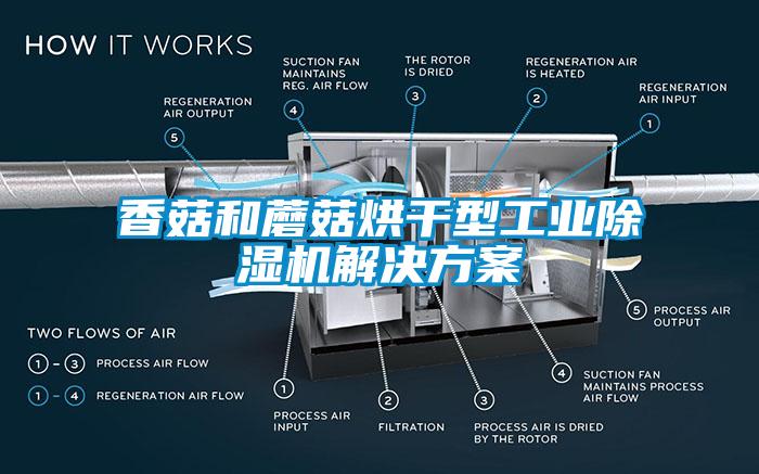 香菇和蘑菇烘干型工业除湿机解决方案