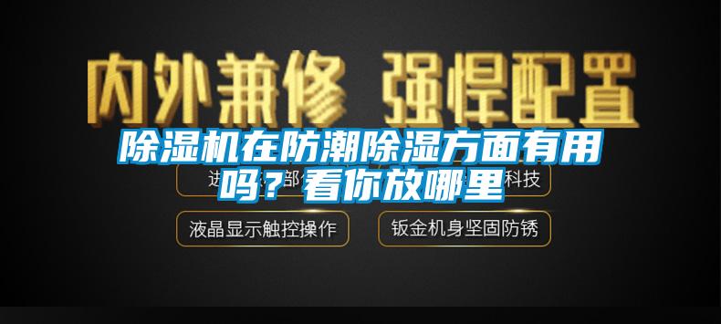 除湿机在防潮除湿方面有用吗？看你放哪里