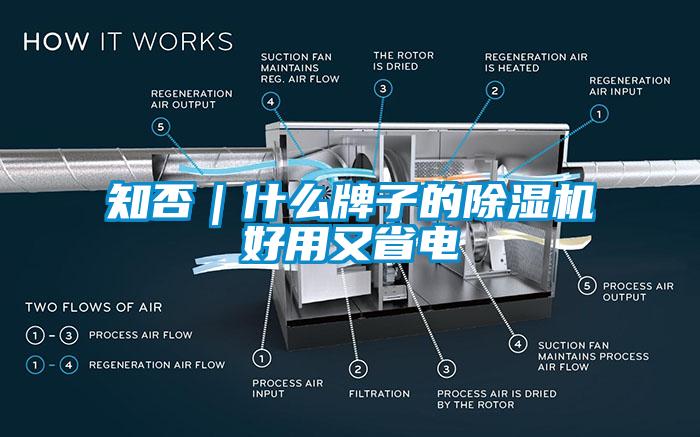 知否｜什么牌子的除湿机好用又省电