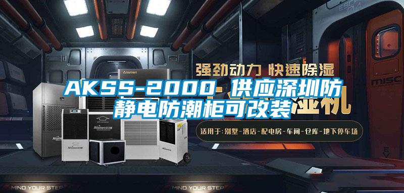 AKSS-2000 供应深圳防静电防潮柜可改装