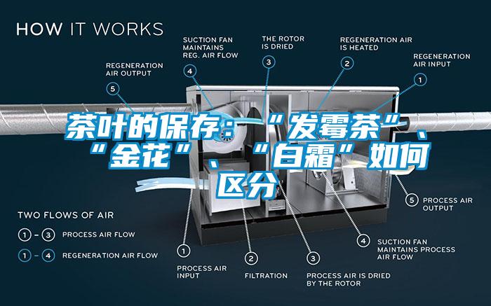 茶叶的保存：“发霉茶”、“金花”、“白霜”如何区分