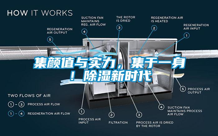 集颜值与实力，集于一身！除湿新时代