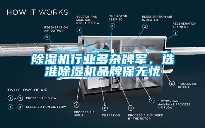 除湿机行业多杂牌军，选准除湿机品牌保无忧