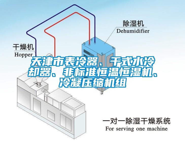 天津市表冷器、干式水冷却器、非标准恒温恒湿机、冷凝压缩机组