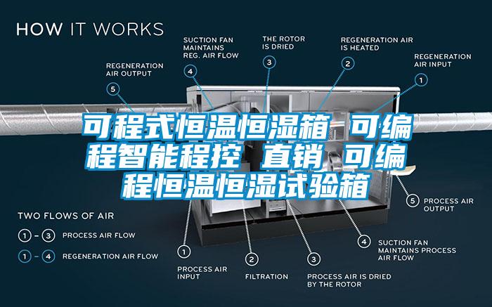 可程式恒温恒湿箱 可编程智能程控 直销 可编程恒温恒湿试验箱