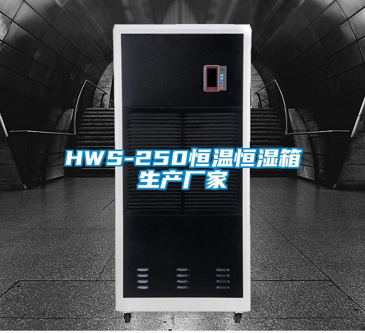 HWS-250恒温恒湿箱生产厂家