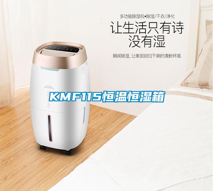 KMF115恒温恒湿箱