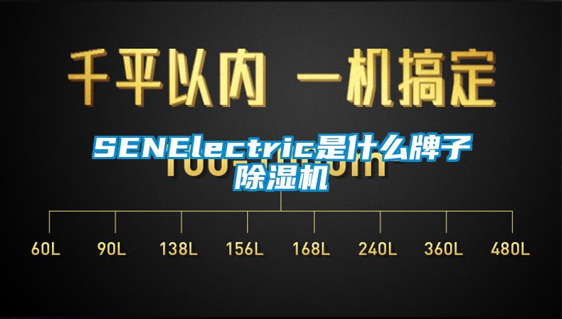 SENElectric是什么牌子除湿机