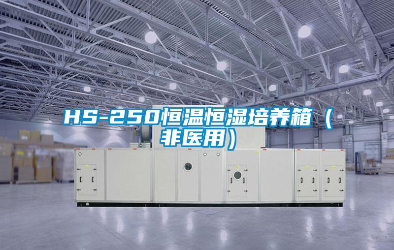 HS-250恒温恒湿培养箱（非医用）