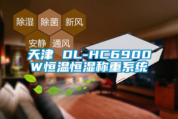 天津 DL-HC6900W恒温恒湿称重系统