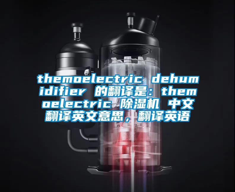 themoelectric dehumidifier 的翻译是：themoelectric 除湿机 中文翻译英文意思，翻译英语