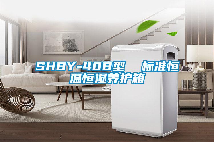 SHBY-40B型  标准恒温恒湿养护箱