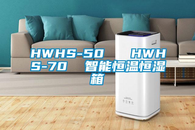 HWHS-50   HWHS-70  智能恒温恒湿箱