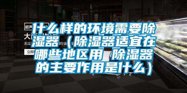 什么样的环境需要除湿器（除湿器适宜在哪些地区用 除湿器的主要作用是什么）