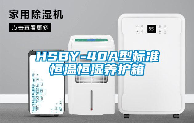 HSBY-40A型标准恒温恒湿养护箱