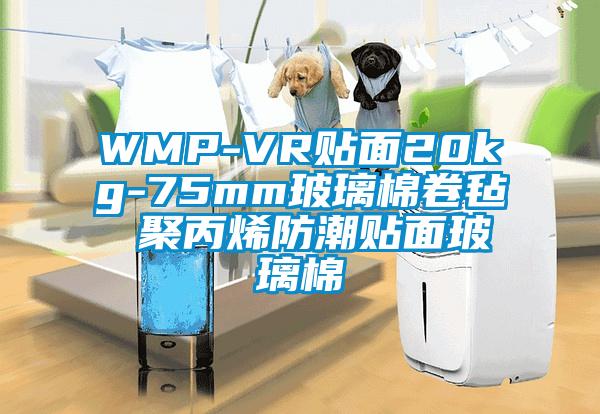 WMP-VR贴面20kg-75mm玻璃棉卷毡 聚丙烯防潮贴面玻璃棉