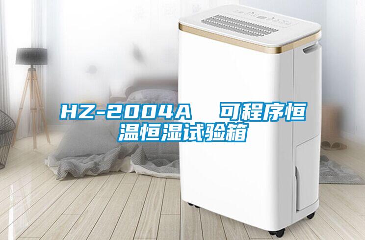 HZ-2004A  可程序恒温恒湿试验箱