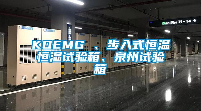 KOEMG 、步入式恒温恒湿试验箱、泉州试验箱