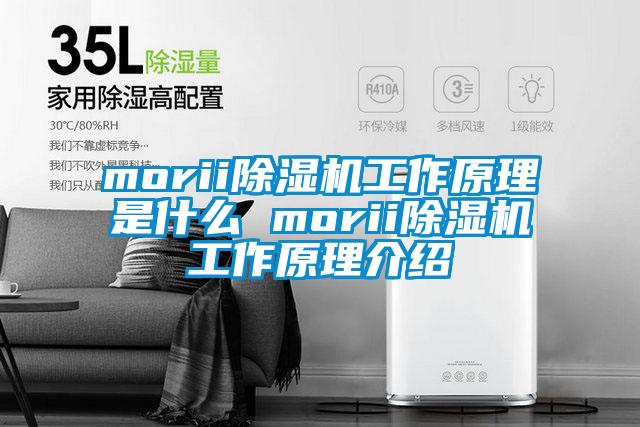 morii除湿机工作原理是什么 morii除湿机工作原理介绍