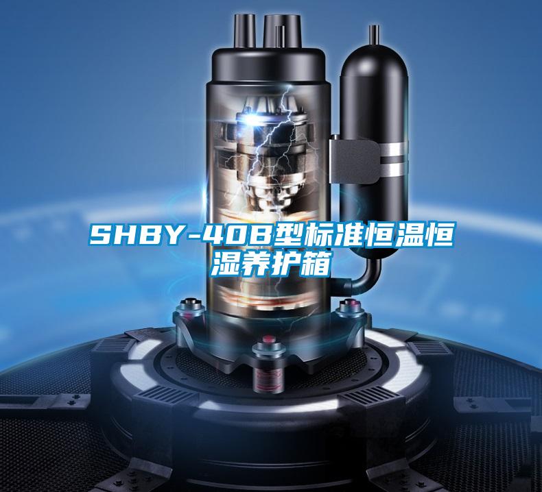 SHBY-40B型标准恒温恒湿养护箱