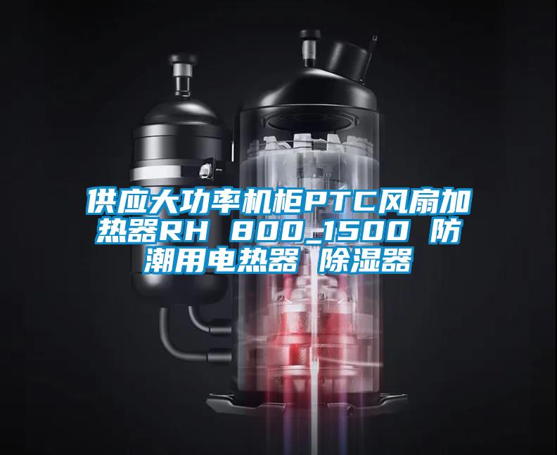 供应大功率机柜PTC风扇加热器RH 800_1500 防潮用电热器 除湿器