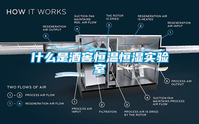 什么是酒窖恒温恒湿实验室