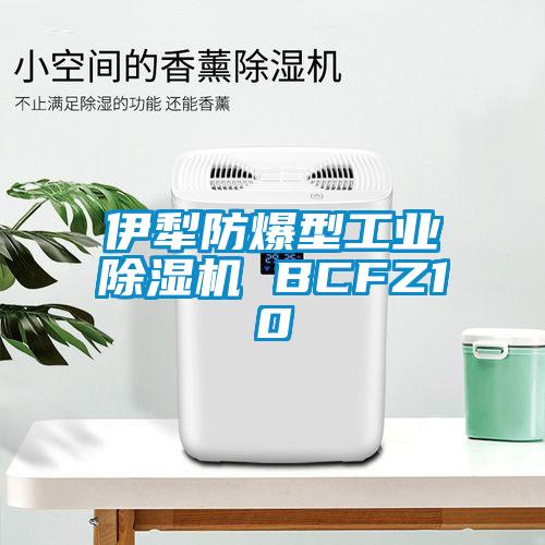 伊犁防爆型工业除湿机 BCFZ10