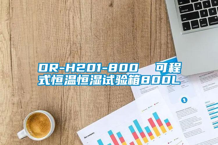 DR-H201-800  可程式恒温恒湿试验箱800L