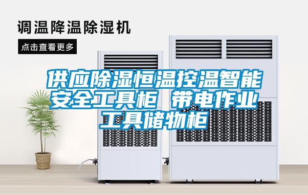 供应除湿恒温控温智能安全工具柜 带电作业工具储物柜