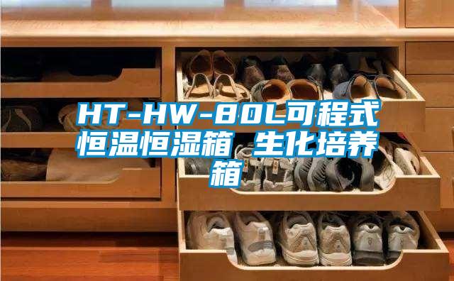 HT-HW-80L可程式恒温恒湿箱 生化培养箱